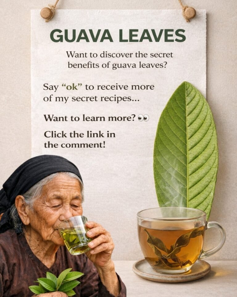 The Power of Guava Leaves: A Simple, Natural Boost for Daily Well-Being
