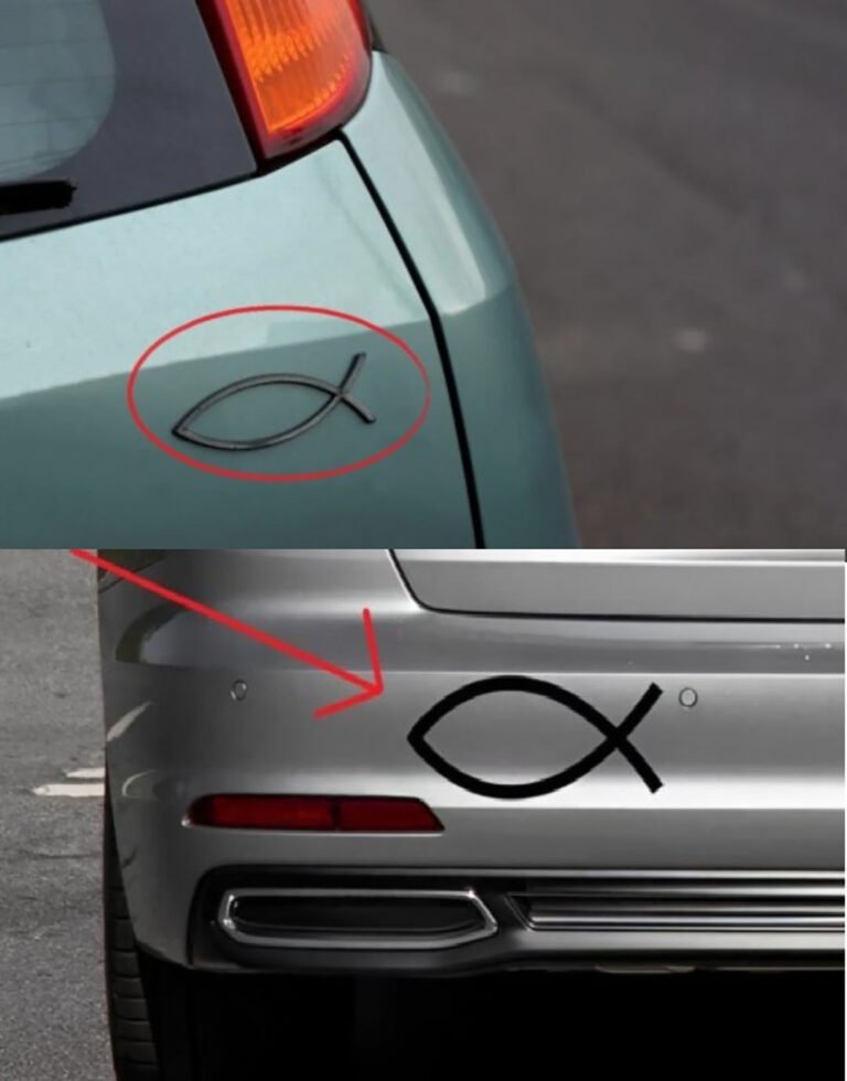 A small fish-shaped symbol is often seen on the back of some cars, but its true meaning is unknown to most .