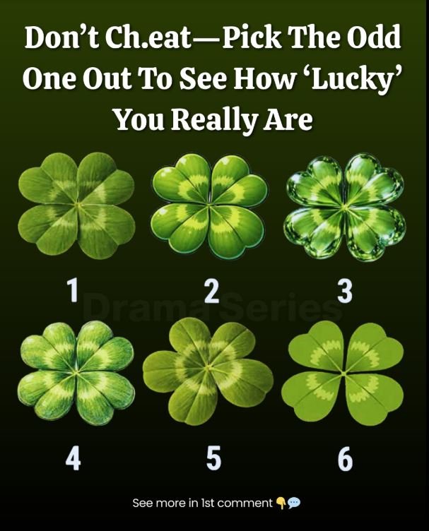 Pick The Odd One Out To See How ‘Lucky’ You Really